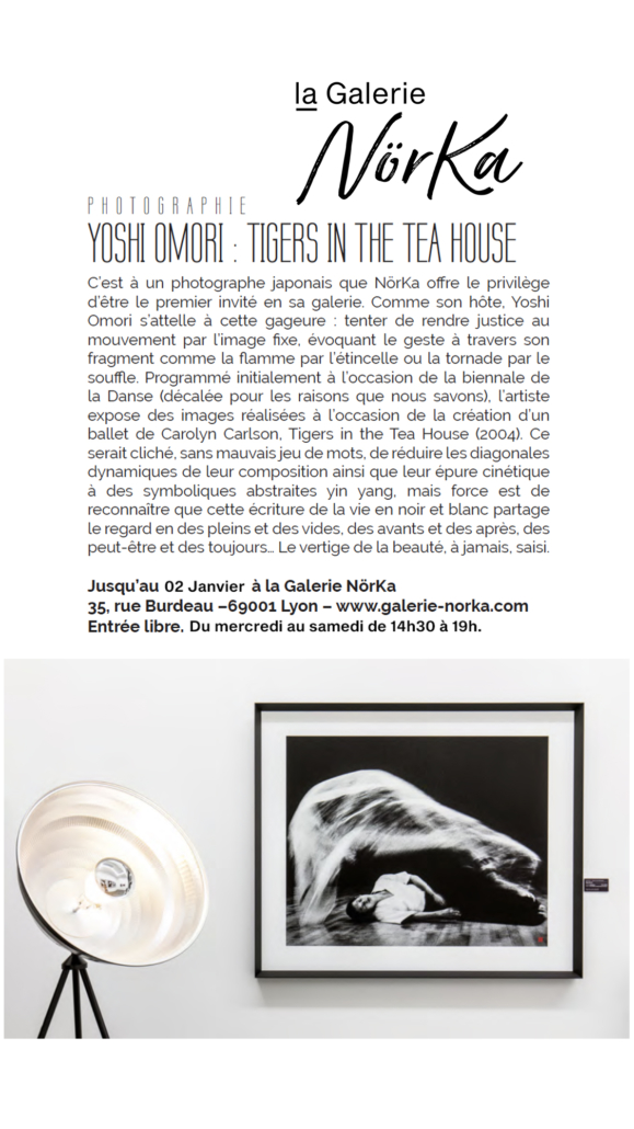 DOMODECO_YOSHIOMORI_LAGALERIENORKA2020_1