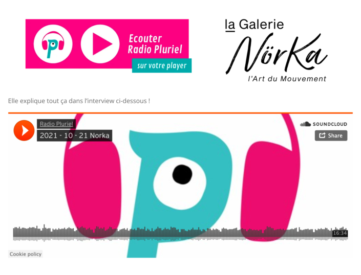 RadioPluriel_HerveLaurent_laGalerieNorKa